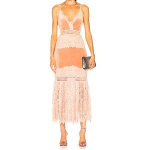 PatBo Velvet Lace Gown Dress Pink